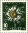 Colnect-139-781-Silver-Thistle-Carlina-acaulis.jpg