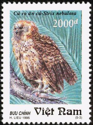 Colnect-1613-137-Pel-s-Fishing-owl-Scotopelia-peli.jpg