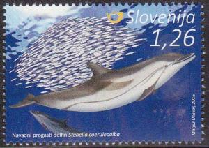 Colnect-3557-544-Striped-dolphin---Stenella-coeruleoalba.jpg