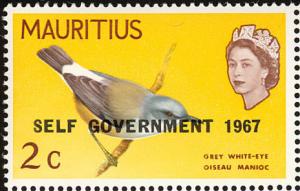 Colnect-734-492-Mauritius-Grey-White-eye-Zosterops-mauritianus.jpg