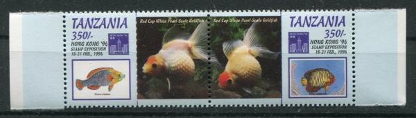 Colnect-4486-110-Red-Cap-White-Pearl-Scale-Goldfish.jpg