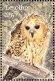 Colnect-1725-615-Pel-s-Fishing-Owl-Scotopelia-peli.jpg