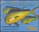 Colnect-4242-472-Common-Dolphinfish-Coryphaena-hippurus.jpg