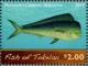 Colnect-4337-203-Common-dolphinfish-Coryphaena-hippurus.jpg