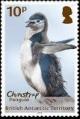 Colnect-5350-467-Chinstrap-Penguin.jpg