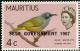 Colnect-734-494-Mauritius-Olive-White-eye-Zosterops-chloronothos.jpg
