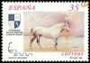 Colnect-1291-768-Carthusian-Horse-Equus-ferus-caballus.jpg