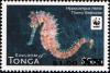 Colnect-2973-369-Spiny-Seahorse-Hippocampus-histrix.jpg