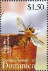 Colnect-3262-331-European-Honey-Bee-Apis-mellifera.jpg