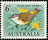 Colnect-604-066-Yellow-rumped-Thornbill-Acanthiza-chrysorrhoa.jpg