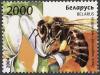 Colnect-857-588-European-Honey-Bee-Apis-mellifera.jpg