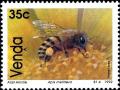 Colnect-1519-709-European-Honey-Bee-Apis-mellifera.jpg