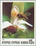 Colnect-177-345-European-Honey-Bee-Apis-mellifica.jpg