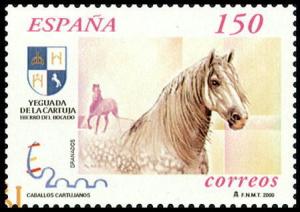 Colnect-1291-783-Carthusian-Horse-Equus-ferus-caballus.jpg