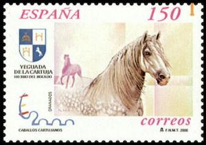 Colnect-1291-784-Carthusian-Horse-Equus-ferus-caballus.jpg