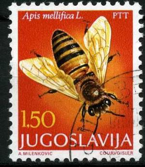 Colnect-1397-199-European-Honey-Bee-Apis-mellifera.jpg