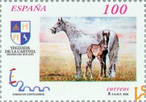 Colnect-181-154-Carthusian-Horse-Equus-ferus-caballus.jpg