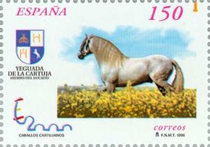 Colnect-181-157-Carthusian-Horse-Equus-ferus-caballus.jpg