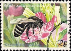 Colnect-2341-663-Black-Dwarf-Honey-Bee-Apis-andreniformis.jpg
