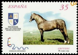 Colnect-3162-642-Carthusian-Horse-Equus-ferus-caballus.jpg