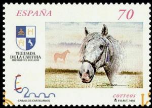 Colnect-3162-643-Carthusian-Horse-Equus-ferus-caballus.jpg