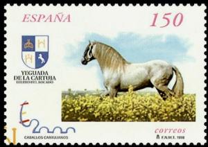 Colnect-3162-645-Carthusian-Horse-Equus-ferus-caballus.jpg