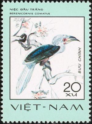 Colnect-3682-052-White-crowned-Hornbill-Berenicornis-comatus.jpg