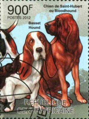 Colnect-3866-274-Basset-Bloodhound-Canis-lupus-familiaris.jpg