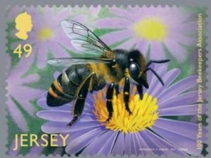Colnect-4383-953-European-Honey-Bee-Apis-mellifera.jpg