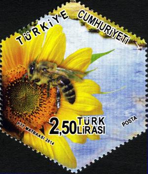 Colnect-5114-738-European-Honey-Bee-Apis-mellifera.jpg