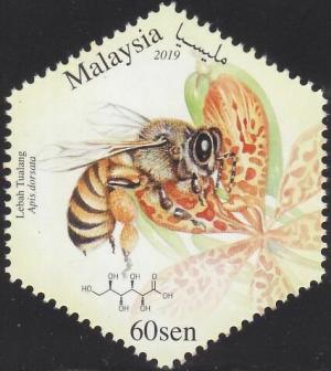 Colnect-5740-136-Giant-Honey-Bee-Apis-dorsata.jpg