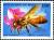 Colnect-2273-538-Giant-Honeybee-Apis-dorsata.jpg