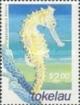 Colnect-1743-127-Spiny-Seahorse-Hippocampus-histrix.jpg