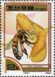 Colnect-2262-852-European-Honey-Bee-Apis-mellifera.jpg
