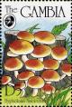 Colnect-3063-700-Hypholoma-fasciculare.jpg