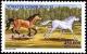 Colnect-975-841-Light-Brown-and-White-Horses-galloping-Equus-ferus-caballus.jpg