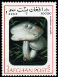 Colnect-3511-130-Field-mushroom-Agaricus-campestris.jpg