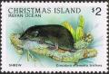 Colnect-3883-065-Christmas-Island-Shrew-Crocidura-attenuata-trichura.jpg