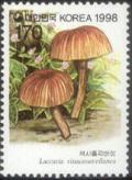 Colnect-406-296-Mushrooms-Series-6th.jpg