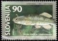 Colnect-694-846-Animals-of-Slovenia-Threatened-types-of-fresh-water-fish.jpg