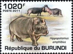 Colnect-3987-574-Three-Hippopotamus.jpg