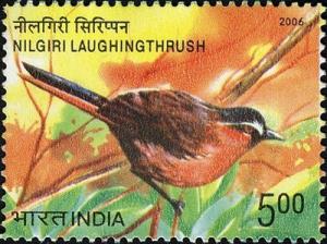 Colnect-542-569-Nilgiri-Laughingthrush-Trochalopteron-cachinnans.jpg