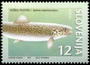 Colnect-694-843-Animals-of-Slovenia-Threatened-types-of-fresh-water-fish.jpg
