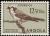 Colnect-1762-549-White-crowned-Shrike-Eurocephalus-anguitimens.jpg