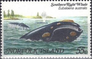 Colnect-1529-587-Southern-Right-Whale-Eubalaena-australis.jpg