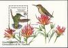 Colnect-1753-992-Antillean-Crested-Hummingbird-Orthorhyncus-cristatus.jpg