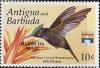 Colnect-2182-700-Antillean-Crested-Hummingbird-Orthorhyncus-cristatus.jpg