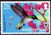 Colnect-5351-250-Antillean-Crested-Hummingbird-Orthorhyncus-cristatus.jpg