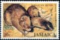 Colnect-2675-103-Jamaican-Hutia-Geocapromys-brownii.jpg