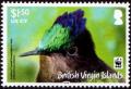 Colnect-5351-249-Antillean-Crested-Hummingbird-Orthorhyncus-cristatus.jpg